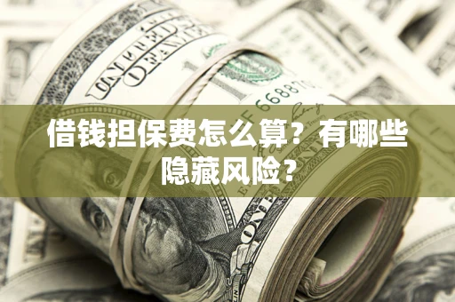 武汉借钱担保费怎么算？有哪些隐藏风险？