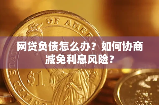 武汉网贷负债怎么办？如何协商减免利息风险？