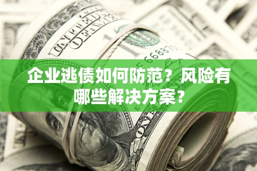 武汉企业逃债如何防范？风险有哪些解决方案？