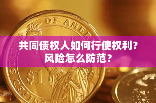 武汉共同债权人如何行使权利？风险怎么防范？