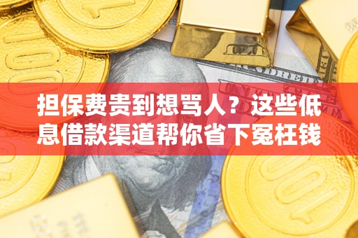 武汉担保费贵到想骂人？这些低息借款渠道帮你省下冤枉钱