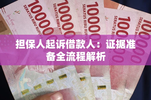 武汉担保人起诉借款人：证据准备全流程解析