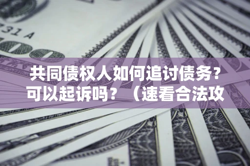 武汉共同债权人如何追讨债务？可以起诉吗？（速看合法攻略）