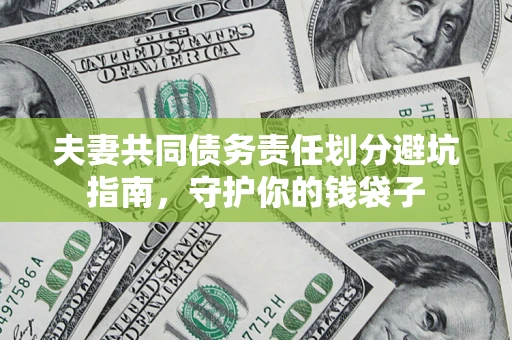 武汉夫妻共同债务责任划分避坑指南，守护你的钱袋子