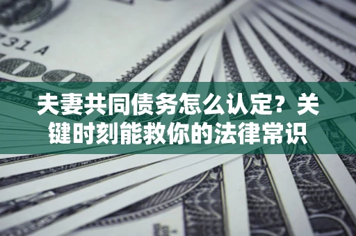 武汉夫妻共同债务怎么认定？关键时刻能救你的法律常识