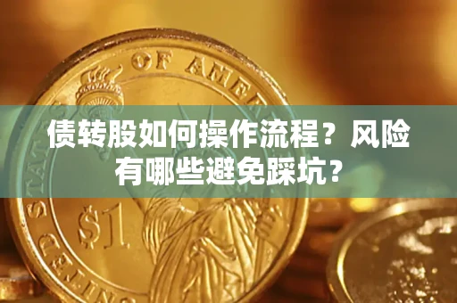 武汉债转股如何操作流程?风险有哪些避免踩坑? 武汉债转股如何操作流程?风险有哪些避免踩坑?