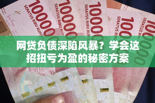 武汉网贷负债深陷风暴？学会这招扭亏为盈的秘密方案